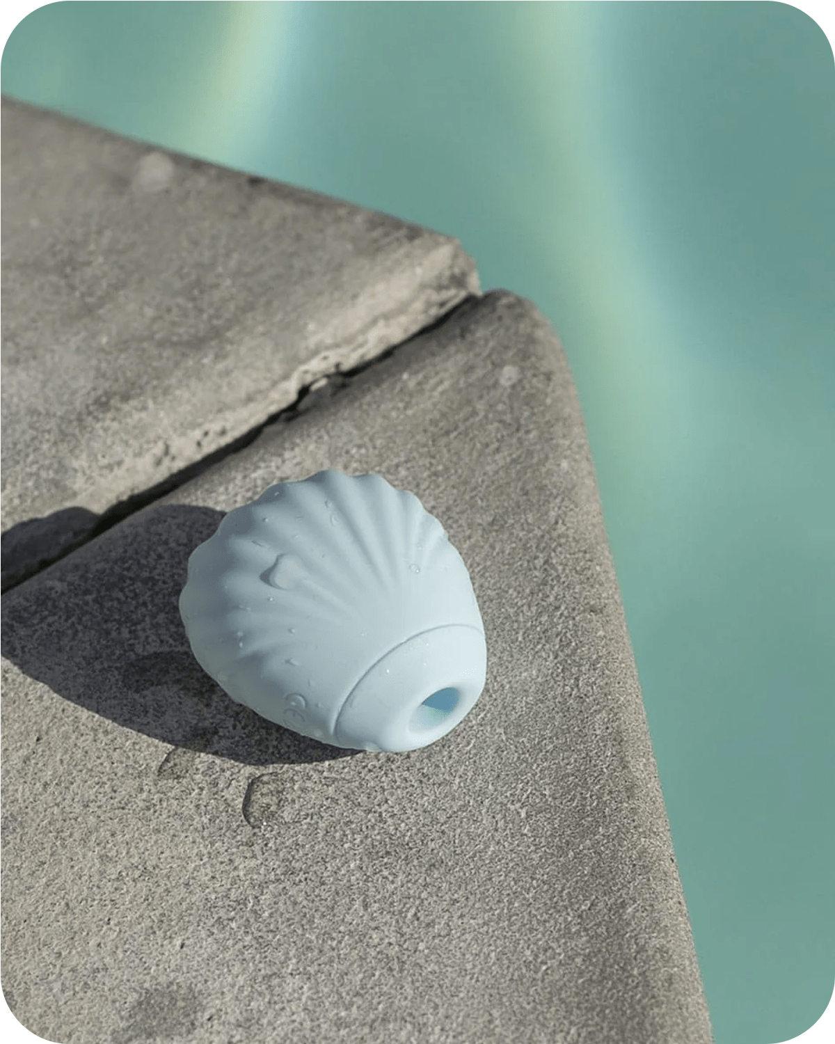 shell - suction vibrator - Fannie
