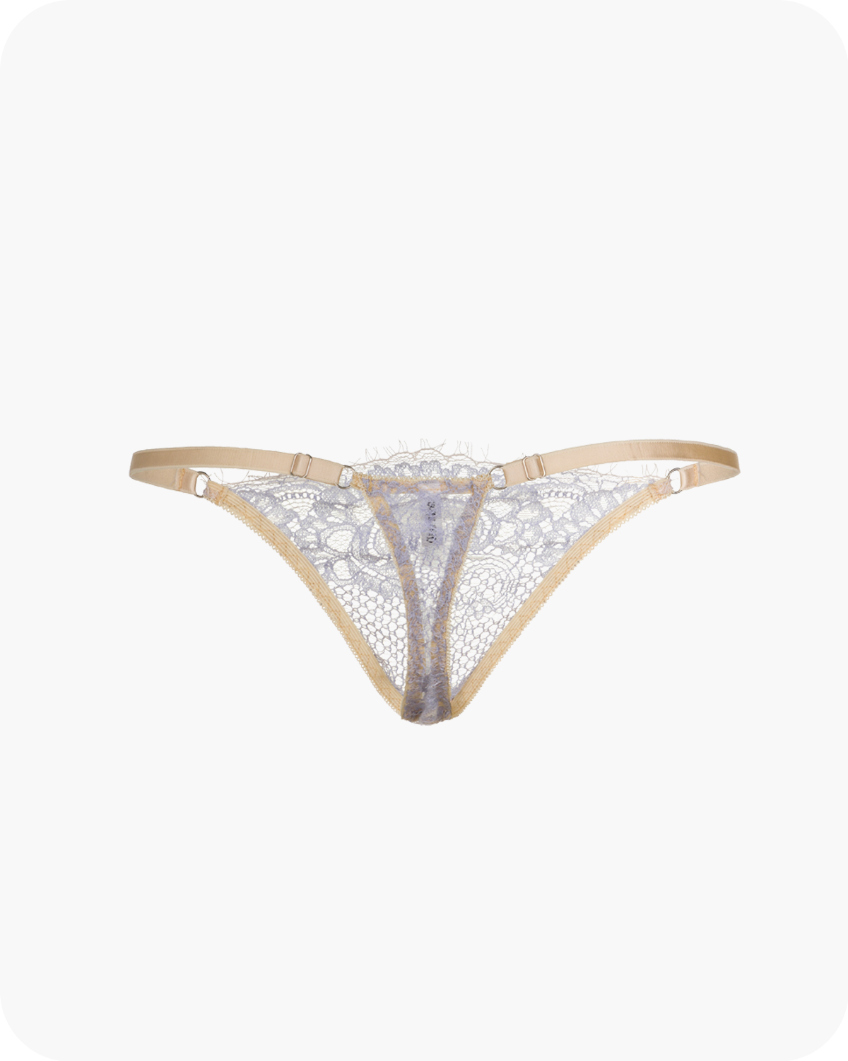 lily lace thong